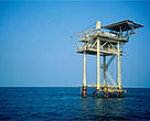 The designation of the Gully as an MPA will protect it and its inhabitants from problems associated with oil and gas exploration and development.