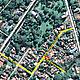 &copy; Google Earth - WWF Paraguay