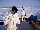 Local spill responders work to clean up the more than one million litres of crude oil that spilled ... / ©: State of Alaska Department of Environmental Conservation (DEC) Oil spill in North Slope, Alaska. / ©: State of Alaska Department of Environmental Conservation (DEC)