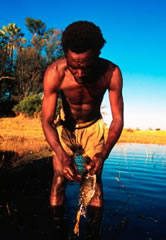A subsistence fisherman of the Bayei (or River) people, Okavango Delta, Botswana. / ©: WWF-Canon / Martin HARVEY A subsistence fisherman of the Bayei (or River) people, Okavango Delta, Botswana. / ©: WWF-Canon / Martin HARVEY