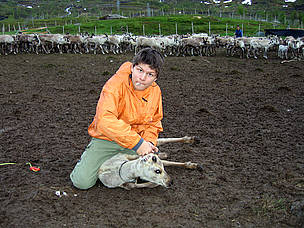 Olav Mathis Eira's son tags a young reindeer. Saami reindeer herders in northern Norway have ... / ©: Olav Mathis Eira Olav's son marks a young reindeer. Olav hopes that one of his three sons will be able to continue ... / ©: Olav Mathis Eira