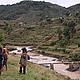 Terraced rice paddies on the road south of Antananarivo © WWF / Elizabeth Johnson