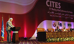 Opening Ceremony of COP15 at CITES.