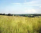 View of Northern Farm. This area needs more housing. OPL offers a sensitive approach to development.