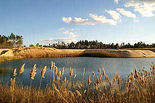 A wetland area at Mata de Sesimbra undergoing restoration.