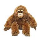 Orang utans are the largest tree-climbing mammal and the only great ape found in Asia.
/ ©: Mimex / ©: Mimex