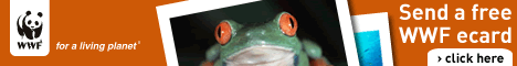 Red-eyed treefrog © WWF-Canon / Chris Martin BAHR