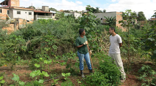 Food garden