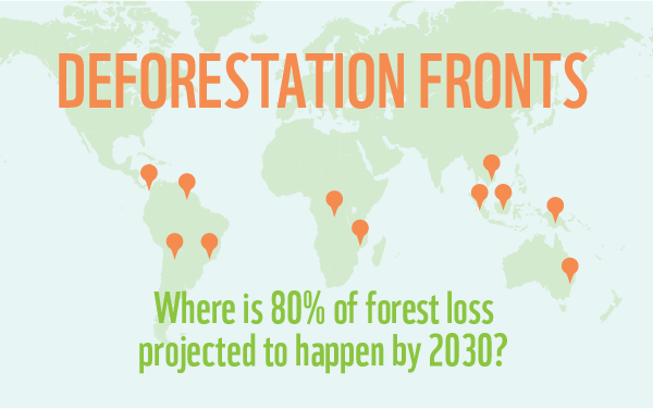 Where does deforestation occur?