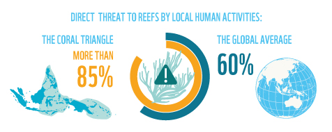 More than 85% of reefs in the Coral Triangle are directly threatened by local human activities.