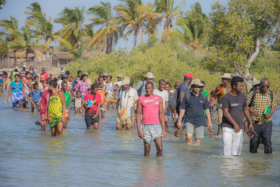 university expertise on Tsiribihina mangroves