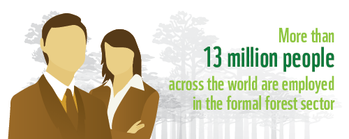 13 million people employed in forest sector