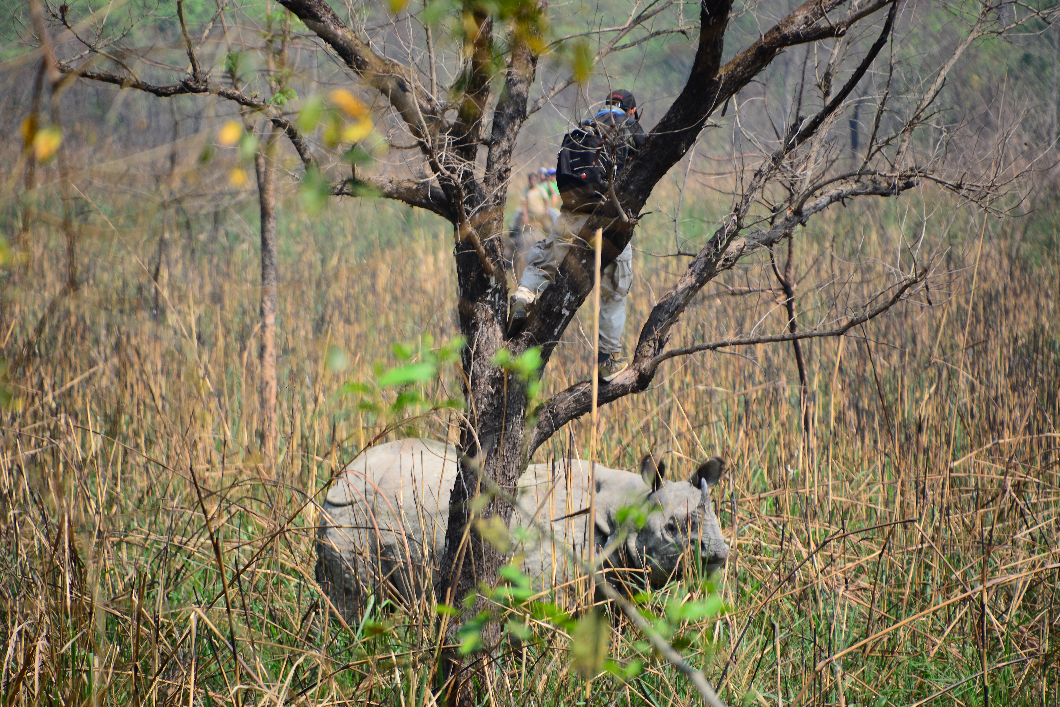  / ©: Akash Shrestha-Simrika Sharma/WWF Nepal