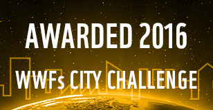 City Challenge Winner 2014