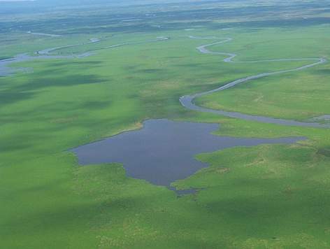Pantanal flooded lanscape / ©: WWF Bolivia / Heidy RESNIKOWSKI rel=