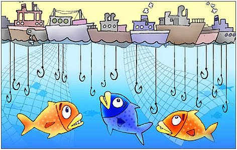 Overfishing / ©: WWF Overfishing rel=