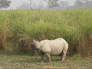  / &copy;: WWF-Nepal