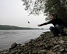 On the banks of the Danube River in the Danube Floodplain National Park near Vienna, Austria. 