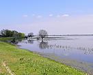 Ermakov island during spring flood in the Ukrainian Danube Delta (Ukraine).