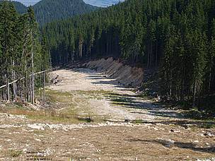 One of the illegally built ski runs in Pirin National Park.