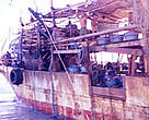 The F/V San Tiyago, the apprehended ship found
<i>pa-aling</i> fishing in the Apo Reef Natural Park.