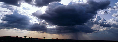  / &copy;: John E. NEWBY / WWF-Canon