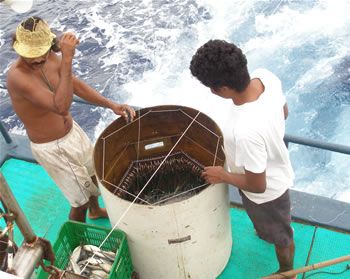 Longline fisheries impact on sea life is worrisome. / ©: Alvaro Segura rel=