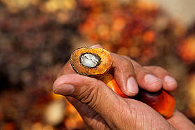  / &copy;: naturepl.com / Christophe Courteau / WWF