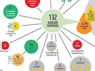 Palm Oil Scorecard infographic / ©: WWF / ©: WWF