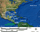 Static GIF file showing the turtle's tracks.