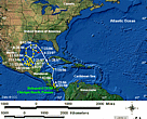 Static GIF file showing the turtle's tracks.