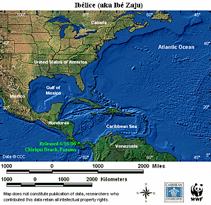 Ibelice / &copy;: WWF-CCC