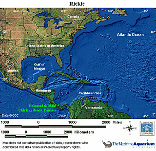 Map locator for this leatherback. Click to view an enlarged animated version. The latest positional ... / ©: WWF-CCC Map locator for this leatherback. Click to view an enlarged animated version. The latest positional ... / ©: WWF-CCC