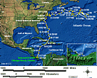 Static GIF file showing the turtle's tracks.