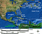 Static GIF file showing the turtle's tracks.