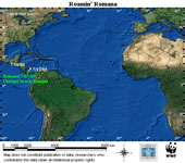 Map locator for this leatherback. Click to view an enlarged animated version. The latest positional ... / ©: WWF / CCC Map locator for this leatherback. Click to view an enlarged animated version. The latest positional ... / ©: WWF / CCC
