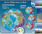 Pan Arctic View poster