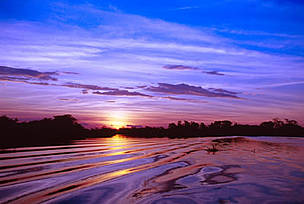  / &copy;: WWF-Canon / Michel Gunther