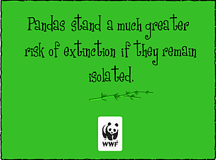 Panda corridors / ©: WWF / ©: WWF