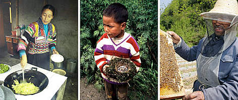 People sharing in the panda's habitat. From left to right: 1.) Baima woman preparing meal in a ... / ©: (c) WWF-Canon / Michel GUNTHER; John E. NEWBY; WWF-China People and pandas montage rel=