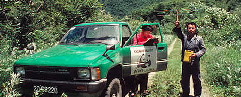 Researchers in the Tang Jia He Nature Reserve use radio-location to track Giant pandas (Ailuropoda ... / ©: WWF / George B. SCHALLER rel=