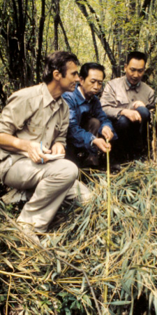 George Schaller with Wang Menchu and Prof Hu Jinchu in Wolong Nature Reserve, Sichuan province, ... / ©: WWF / Nancy Nash / ©: WWF / Nancy Nash