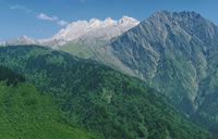 Giant panda habitat, China. / ©: Sichuan Forestry Department / ©: Sichuan Forestry Department