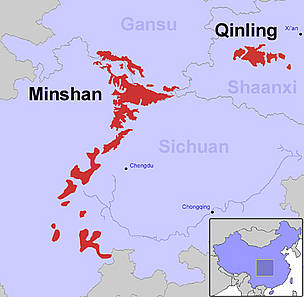 Pandas live in around 20 isolated habitats (red) in Gansu, Sichuan and Shaanxi provinces, China. / ©: Nigel Allan / WWF Panda habitat / ©: Nigel Allan / WWF