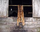Sumatran tiger skin confiscated at villager’s house in Pelangiran sub-district , District of Indragiri Hilir, Riau, Central Sumatra.. Police and forestry officials now investigating the tiger killings, as there are indications of poaching as well.