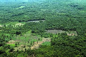 Pantanal Deforestación / ©: WWF Bolivia / ©: WWF Bolivia