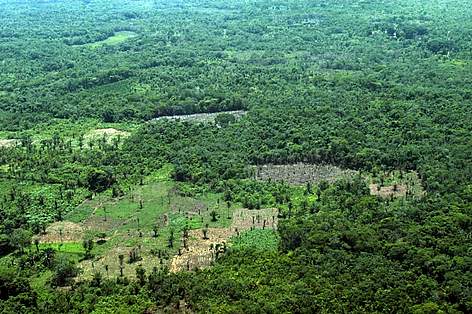Pantanal Deforestación / ©: WWF Bolivia rel=