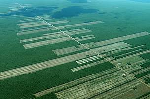 Pantanal Deforestación / ©: WWF Bolivia / ©: WWF Bolivia
