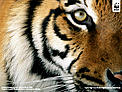  / &copy;: National Geographic Stock / Michael Nicols / WWF