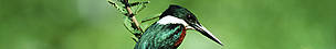 / &copy;: WWF-Canon / Y.-J. REY-MILLET